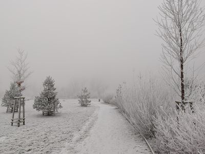 Cestička Ottovým parkem s jehličnany a ojíněnými keři